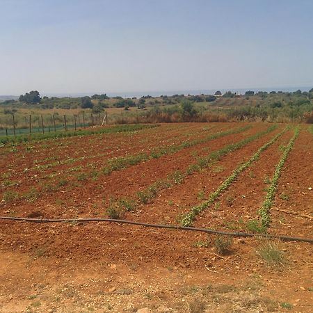 Relais Casina Miregia Ξενοδοχείο Menfi Εξωτερικό φωτογραφία