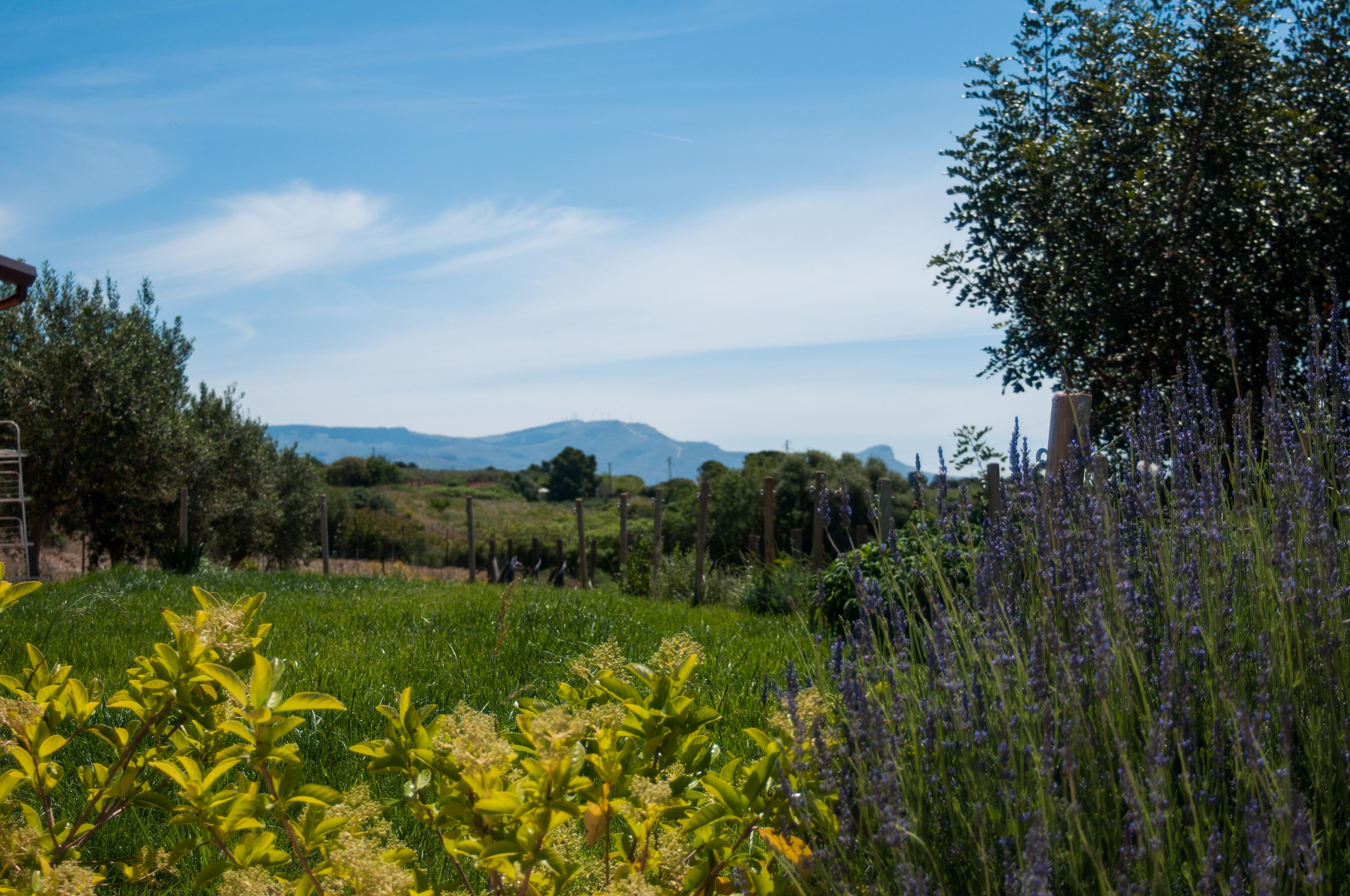 Relais Casina Miregia Ξενοδοχείο Menfi Εξωτερικό φωτογραφία