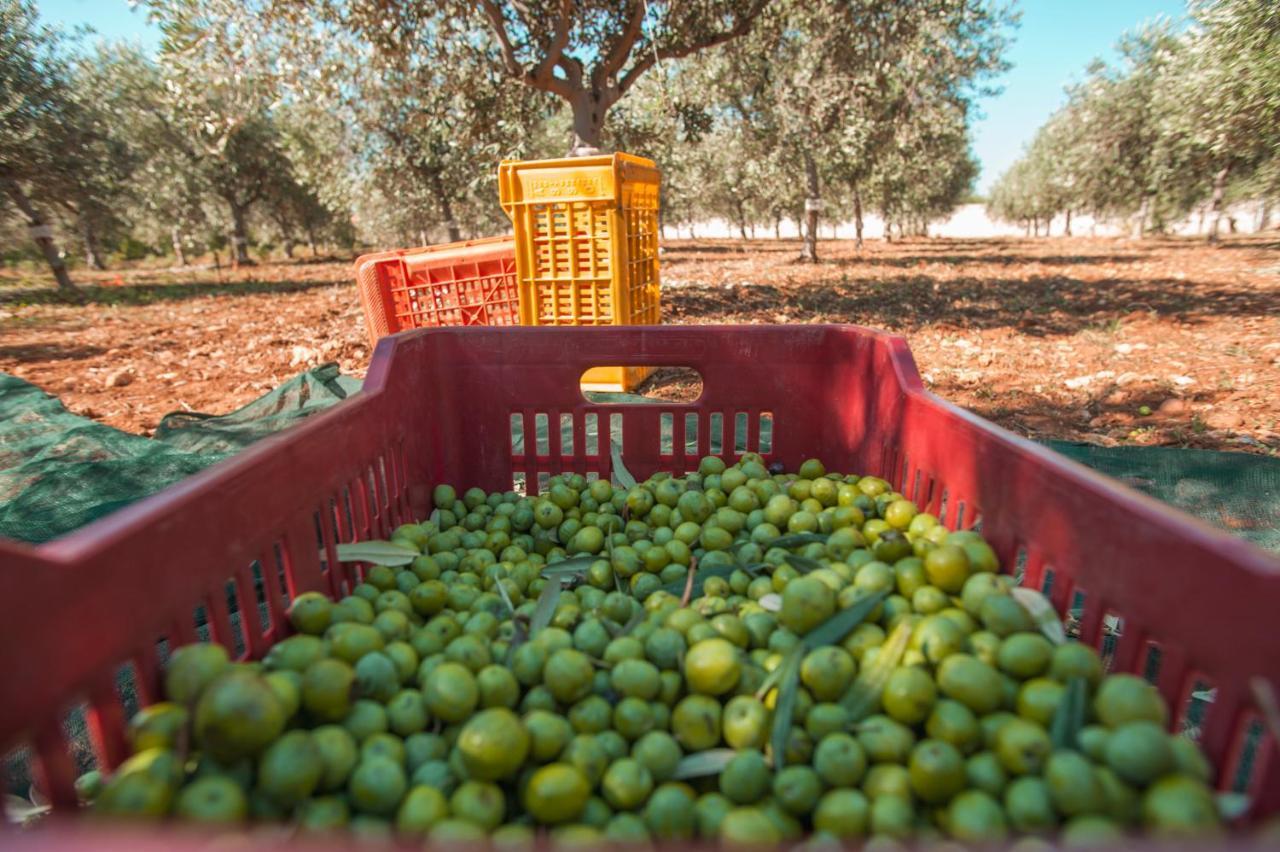 Relais Casina Miregia Ξενοδοχείο Menfi Εξωτερικό φωτογραφία