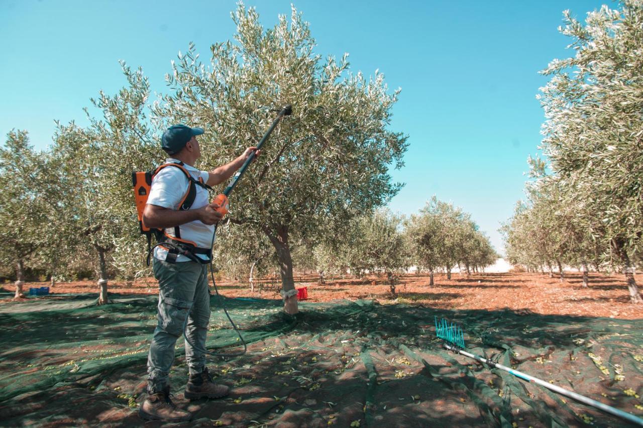 Relais Casina Miregia Ξενοδοχείο Menfi Εξωτερικό φωτογραφία